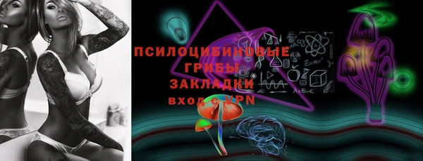 соль ск Кулебаки