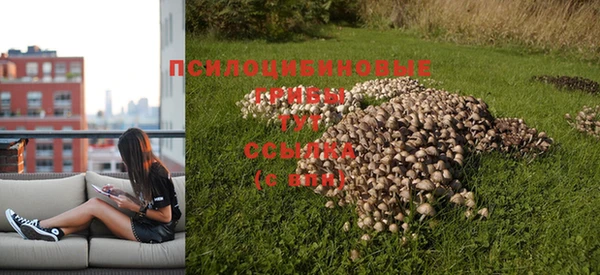 соль ск Кулебаки