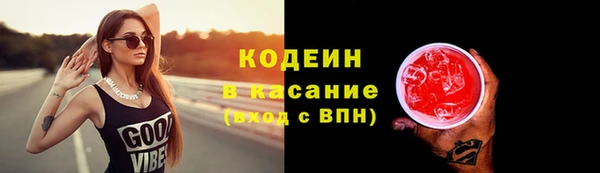 соль ск Кулебаки