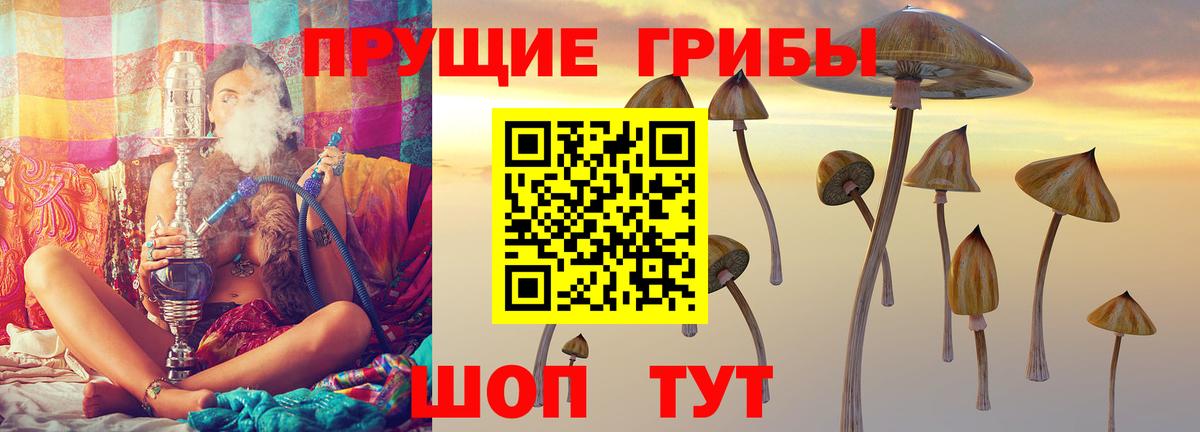 Галлюциногенные грибы прущие грибы Батайск