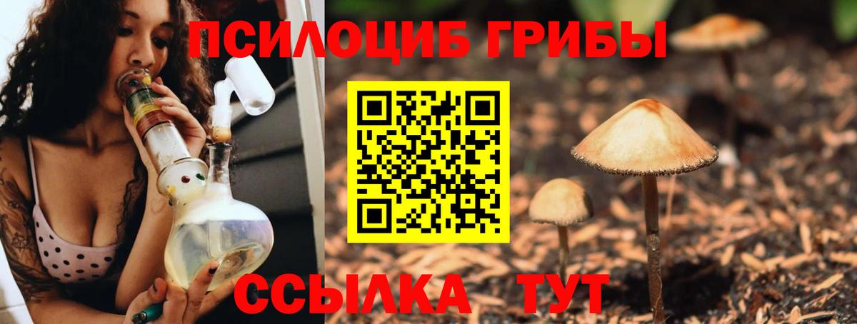 купить  сайты  Псилоцибиновые грибы GOLDEN TEACHER  Батайск  Псилоцибиновые грибы MAGIC MUSHROOMS 